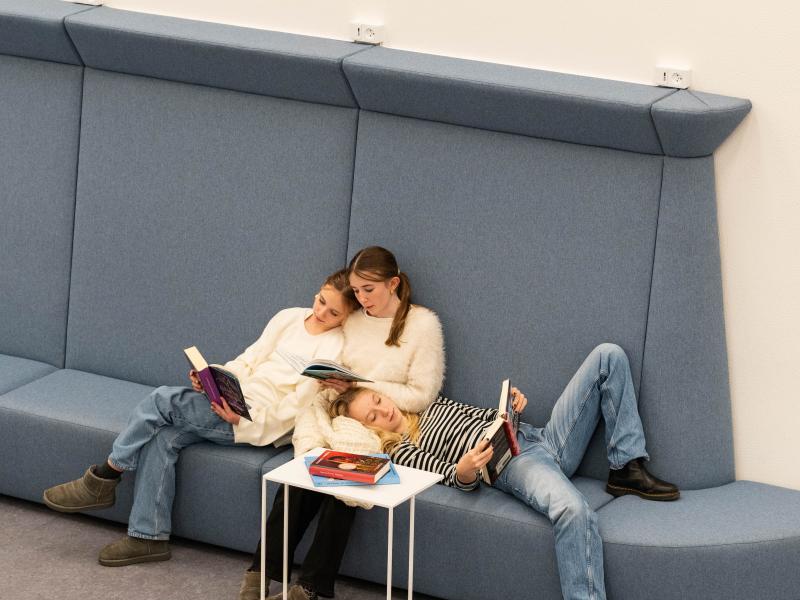 Digitalt ungdomsbibliotek