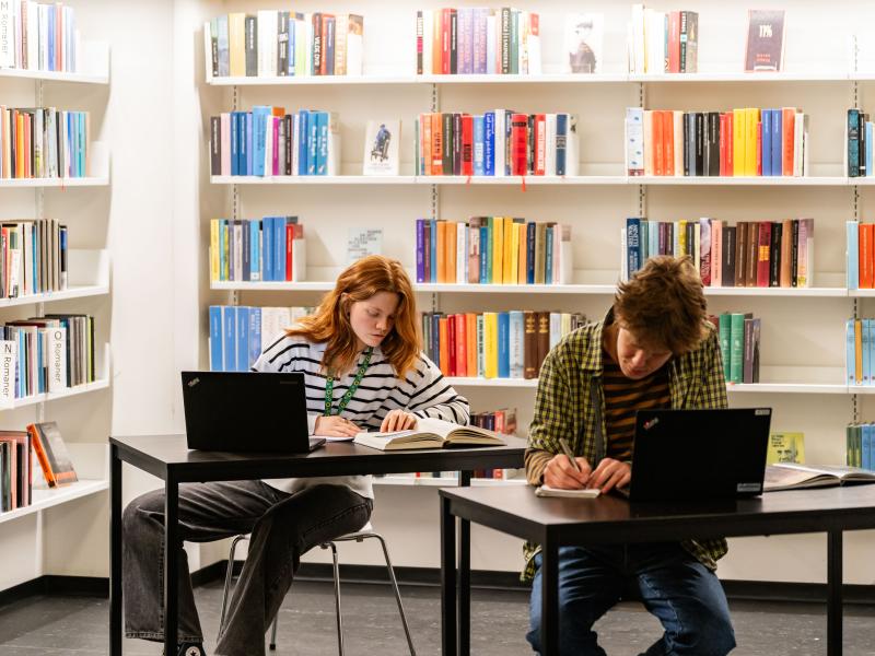 Digital faglitteratur